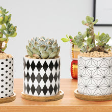 Load image into Gallery viewer, ClaudiaG B&amp;W Planters Set of 3