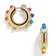 Load image into Gallery viewer, ClaudiaG Ally Colors Earrings