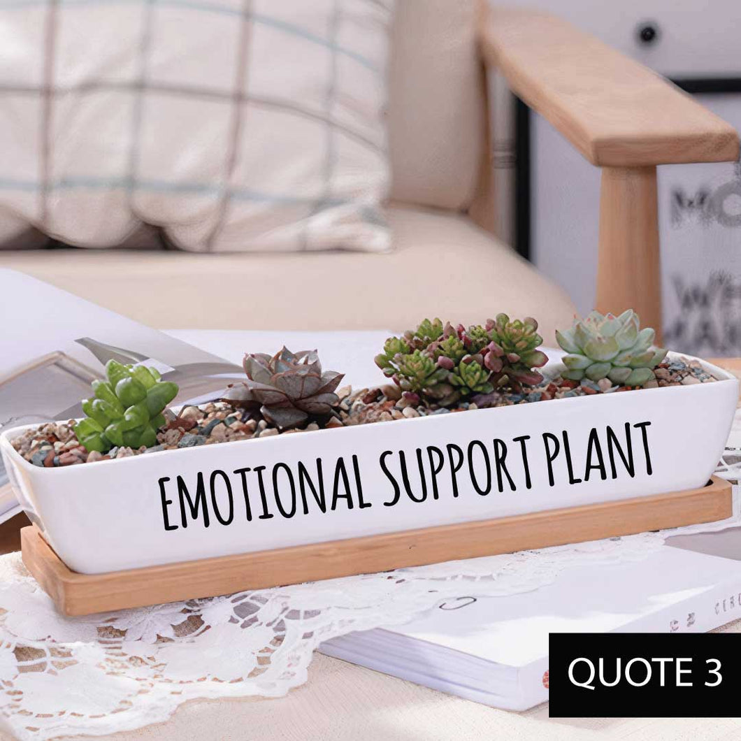 ClaudiaG Message in a Planter - 7
