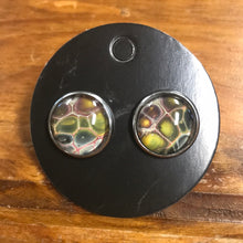 Load image into Gallery viewer, 864 Effex Stud Earrings