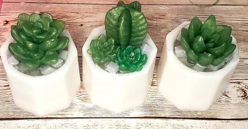 Succulent Soap